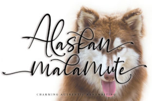Alaskan Malamute Font for Handmade Creations