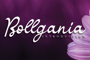 Bollgania: The Font That Boosted My Bakery’s Brand