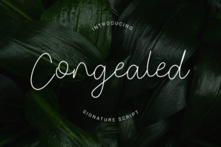Congealed